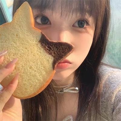淑女宠爱